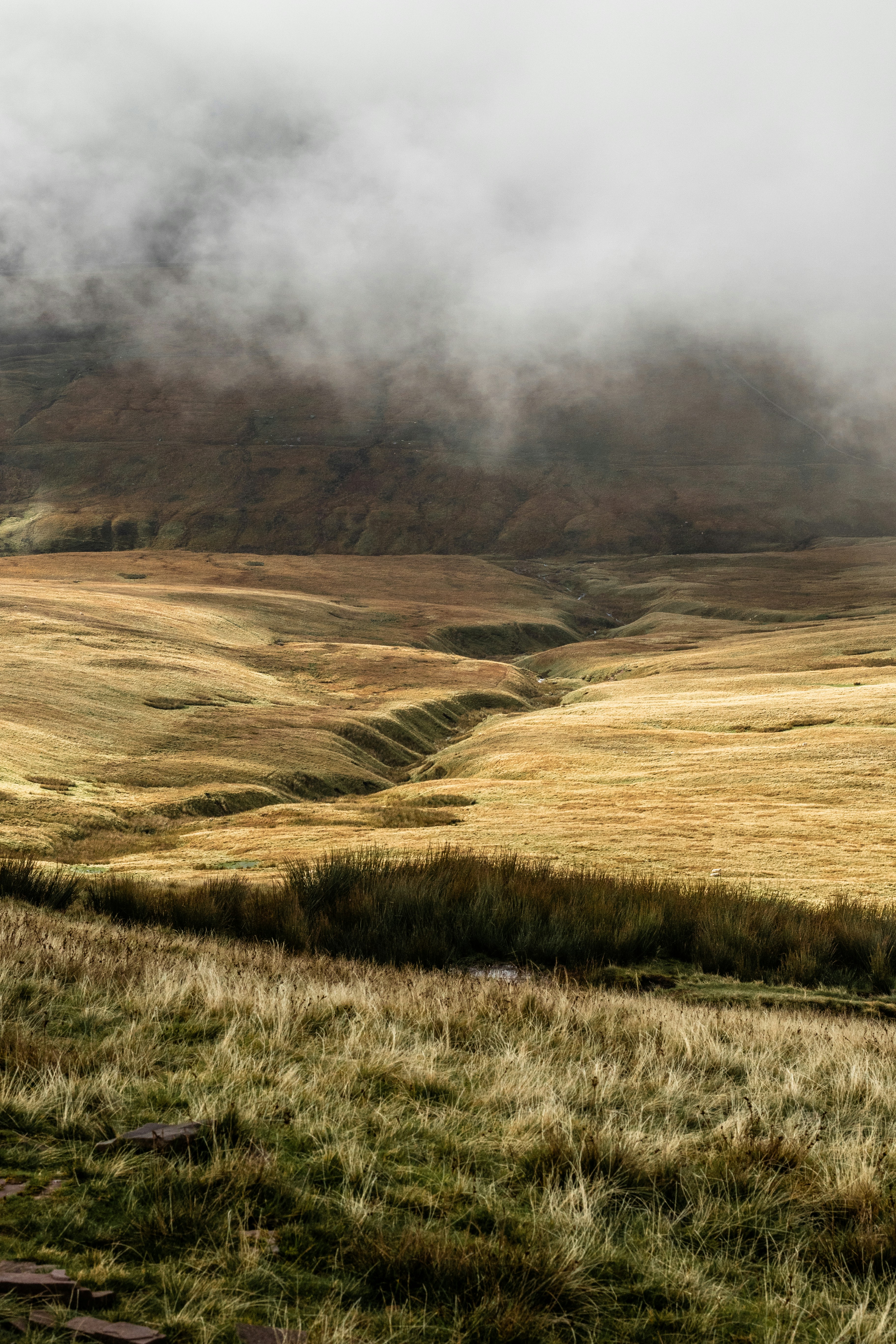 Photo by will_bolding_photography