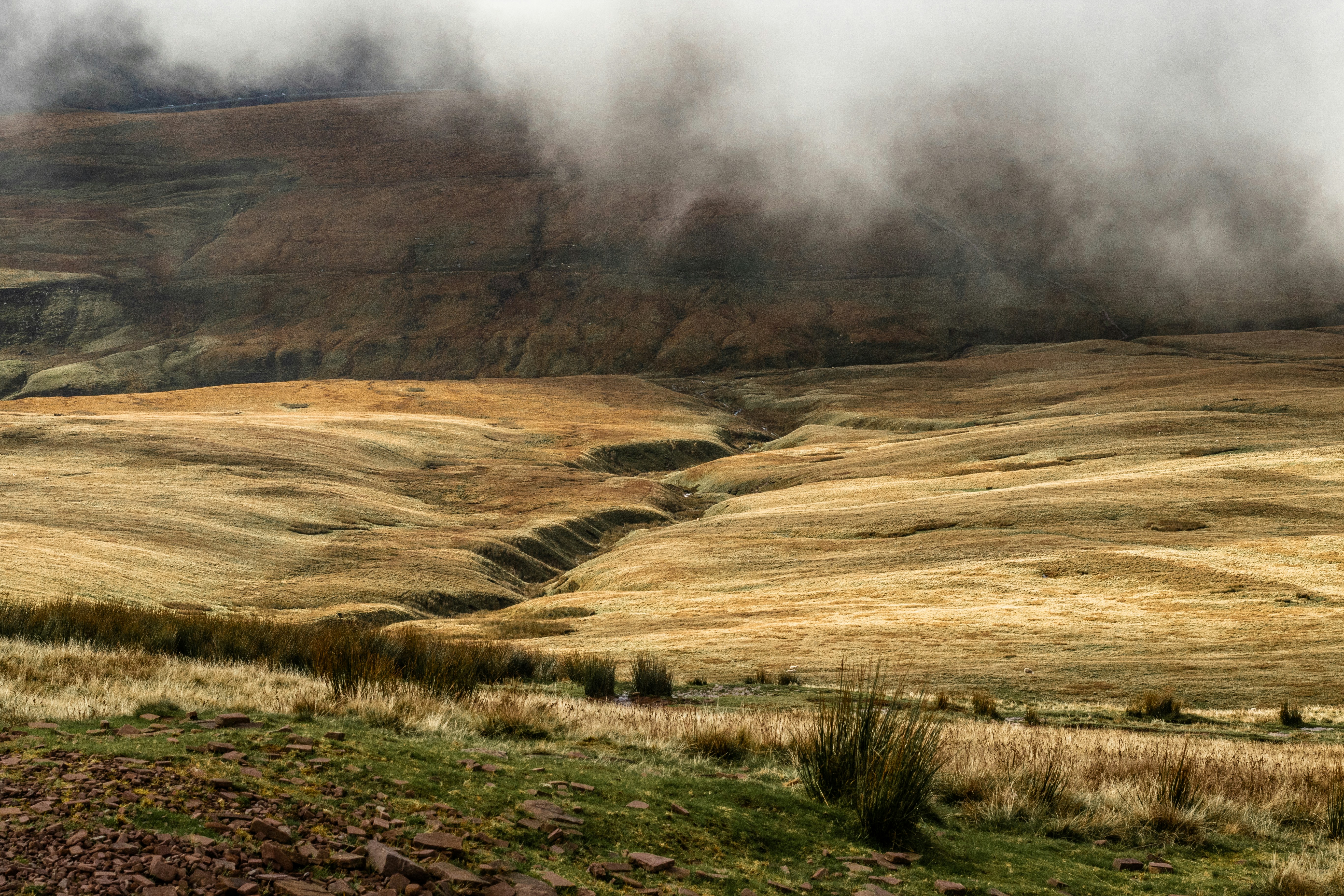 Photo by will_bolding_photography