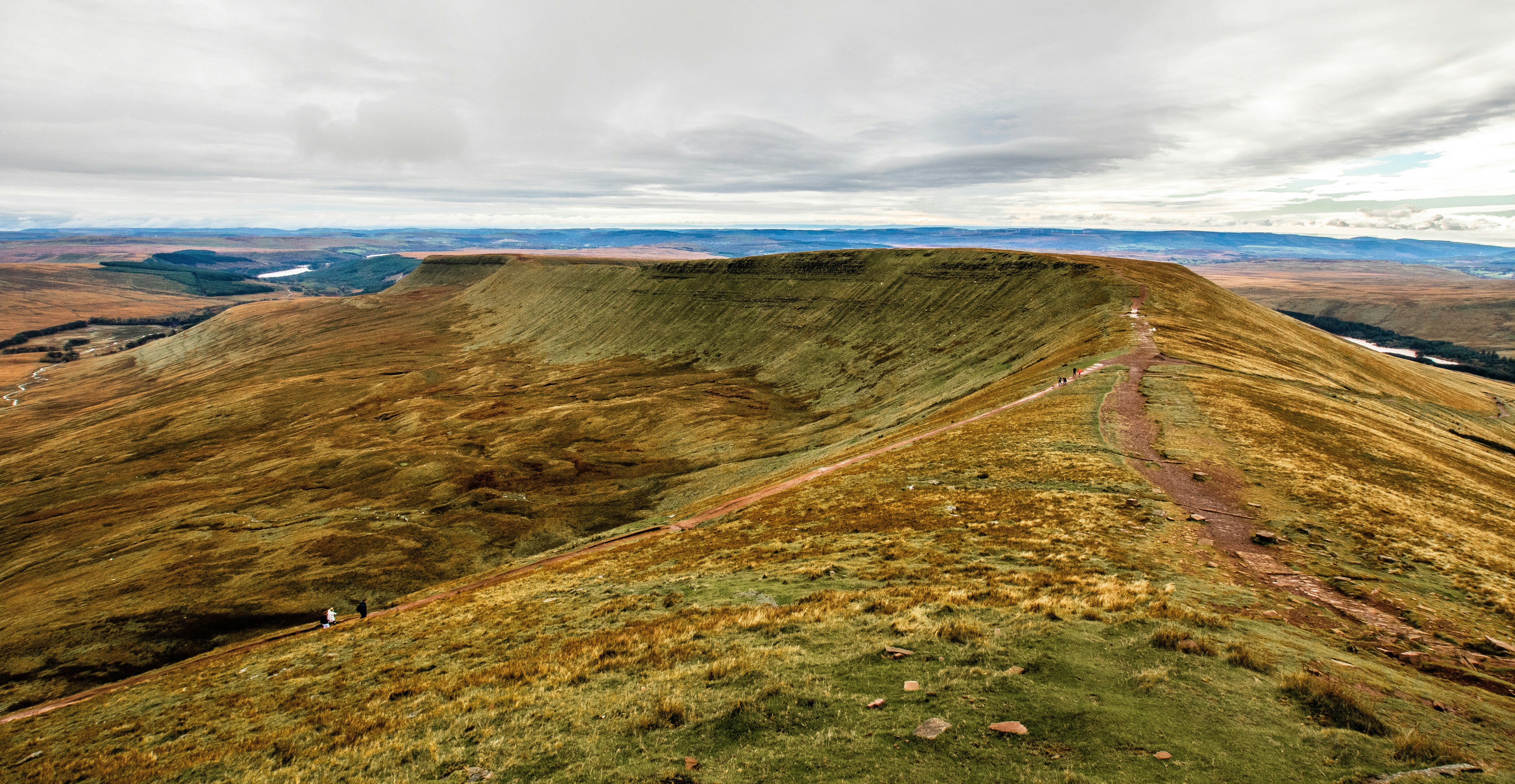 Photo by will_bolding_photography