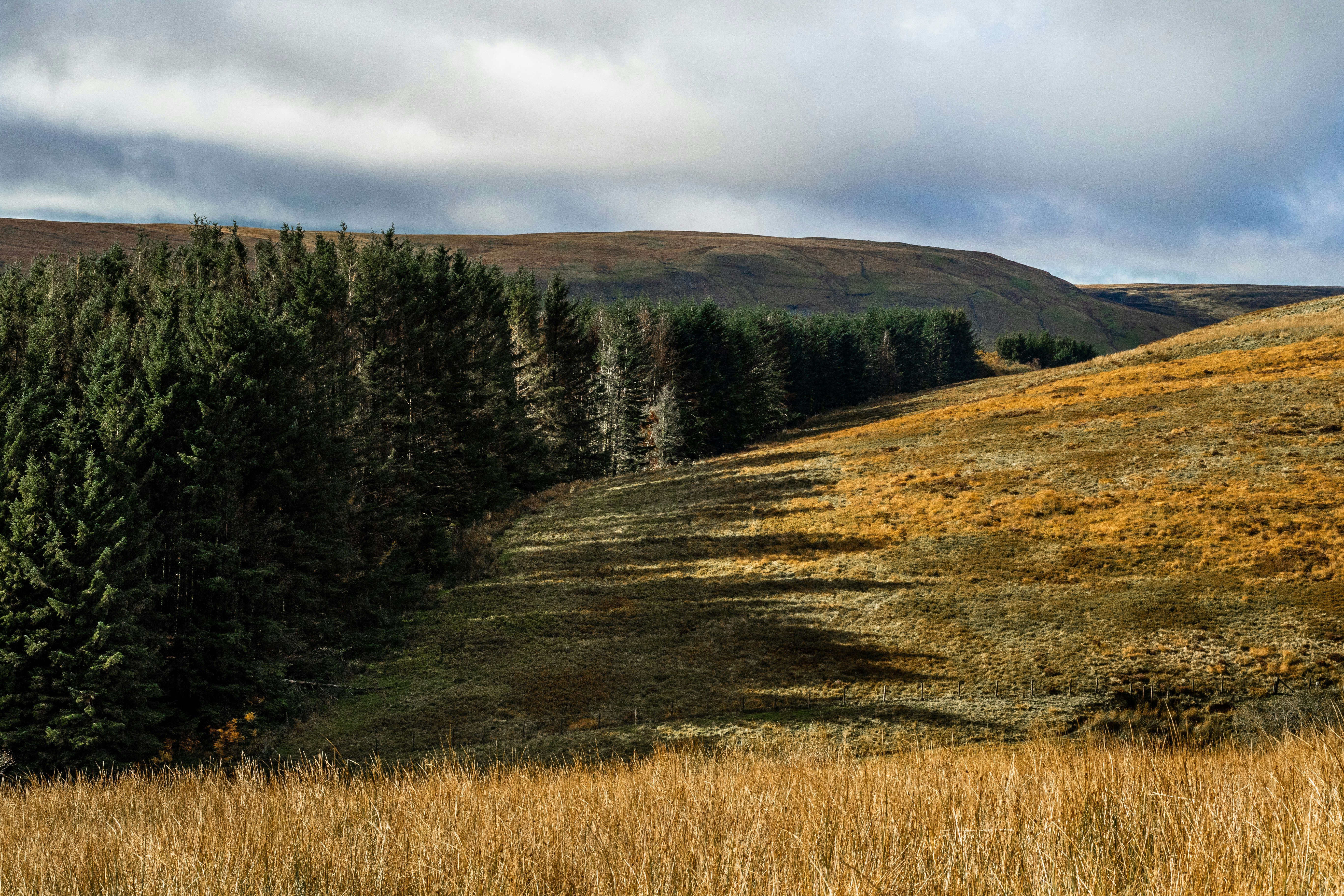 Photo by will_bolding_photography