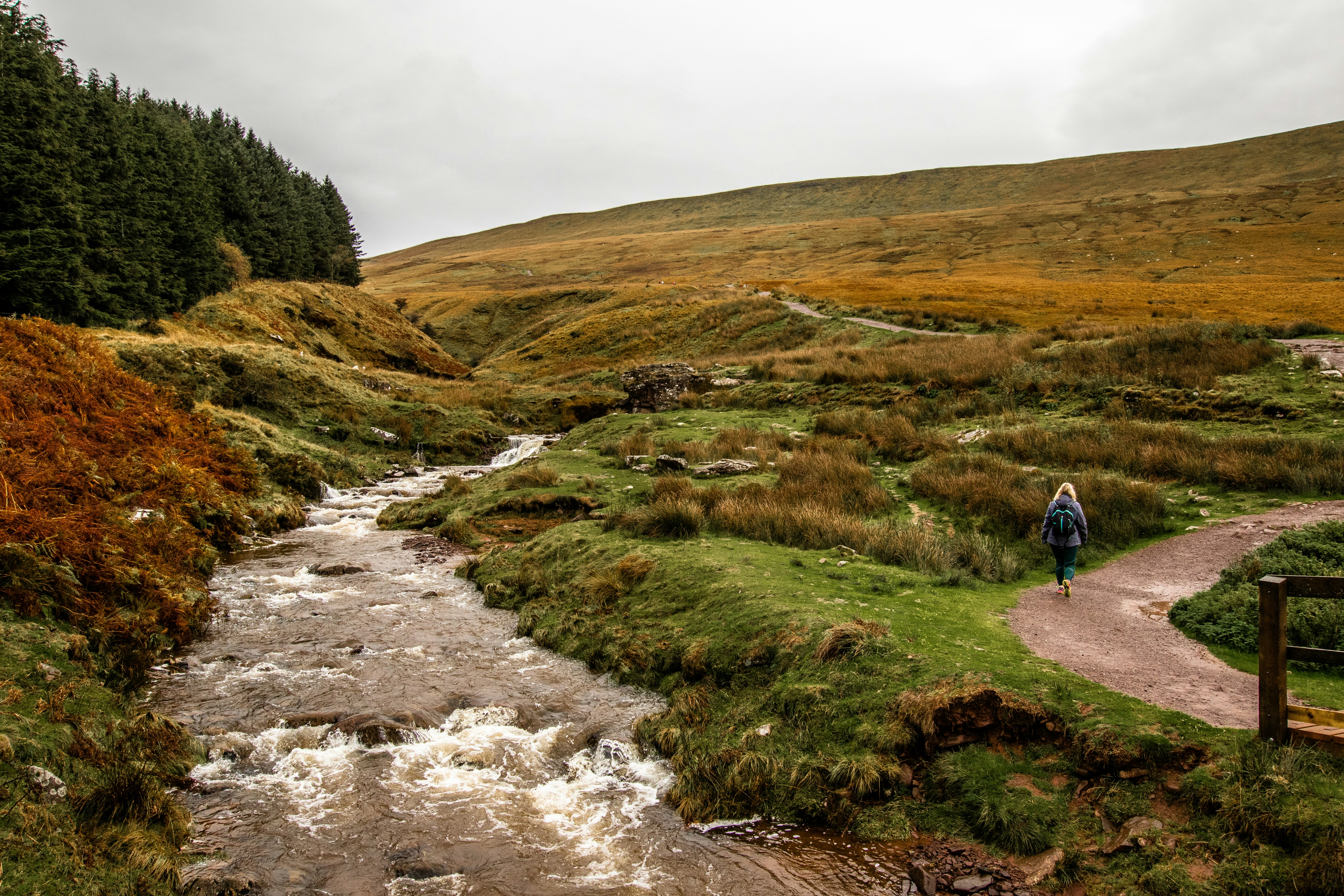 Photo by will_bolding_photography