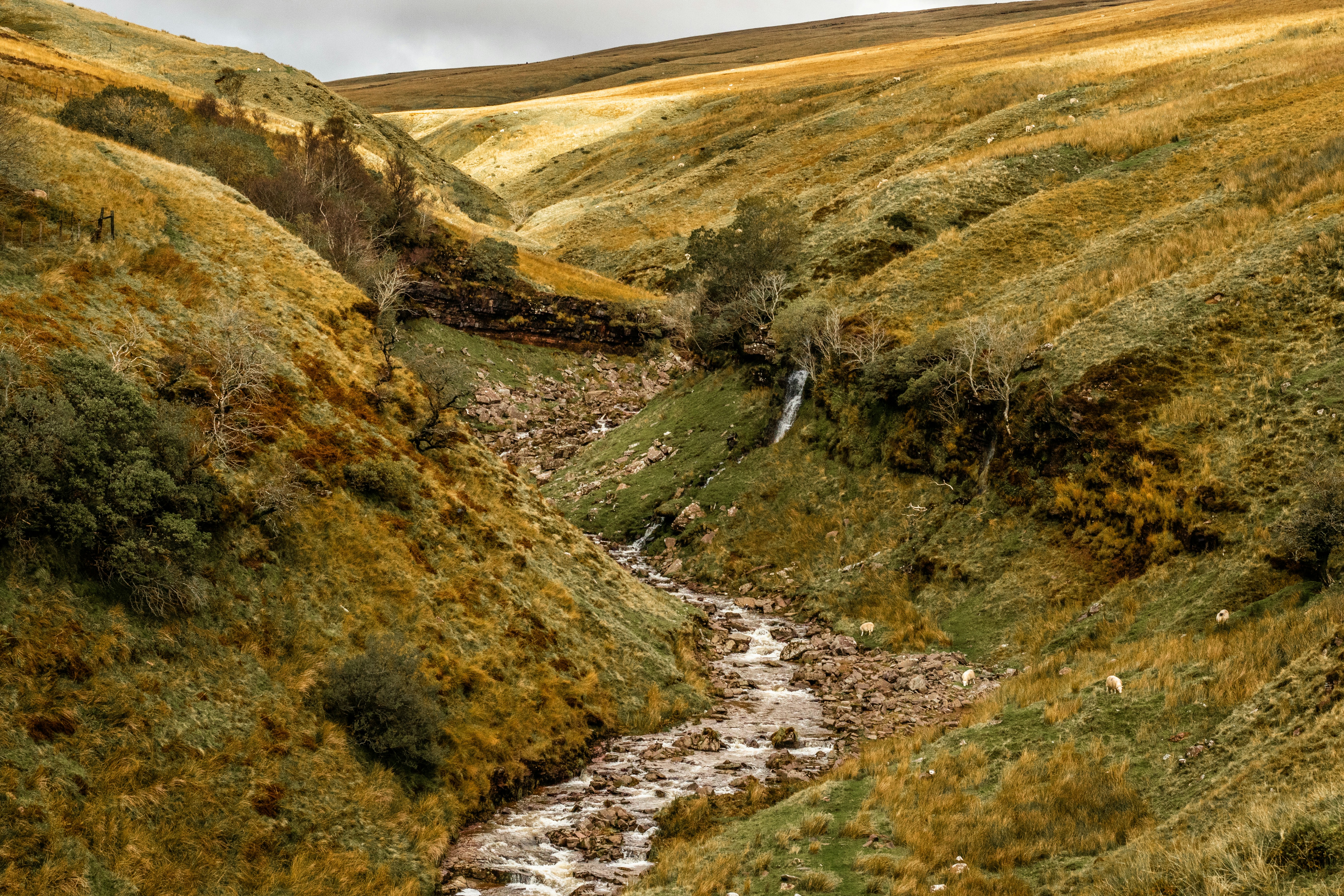 Photo by will_bolding_photography