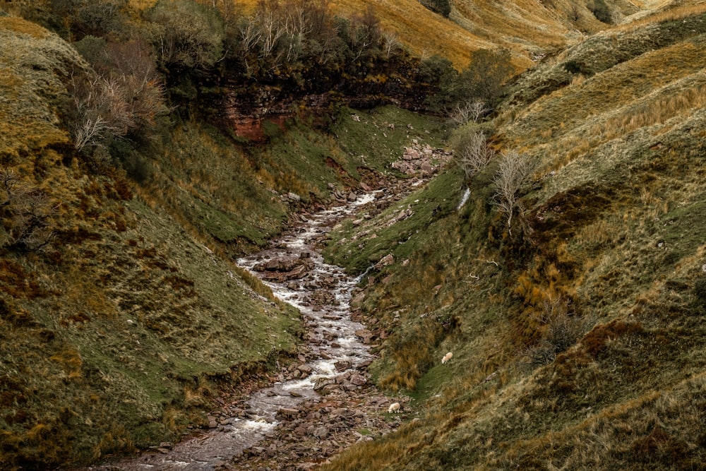 flowing river