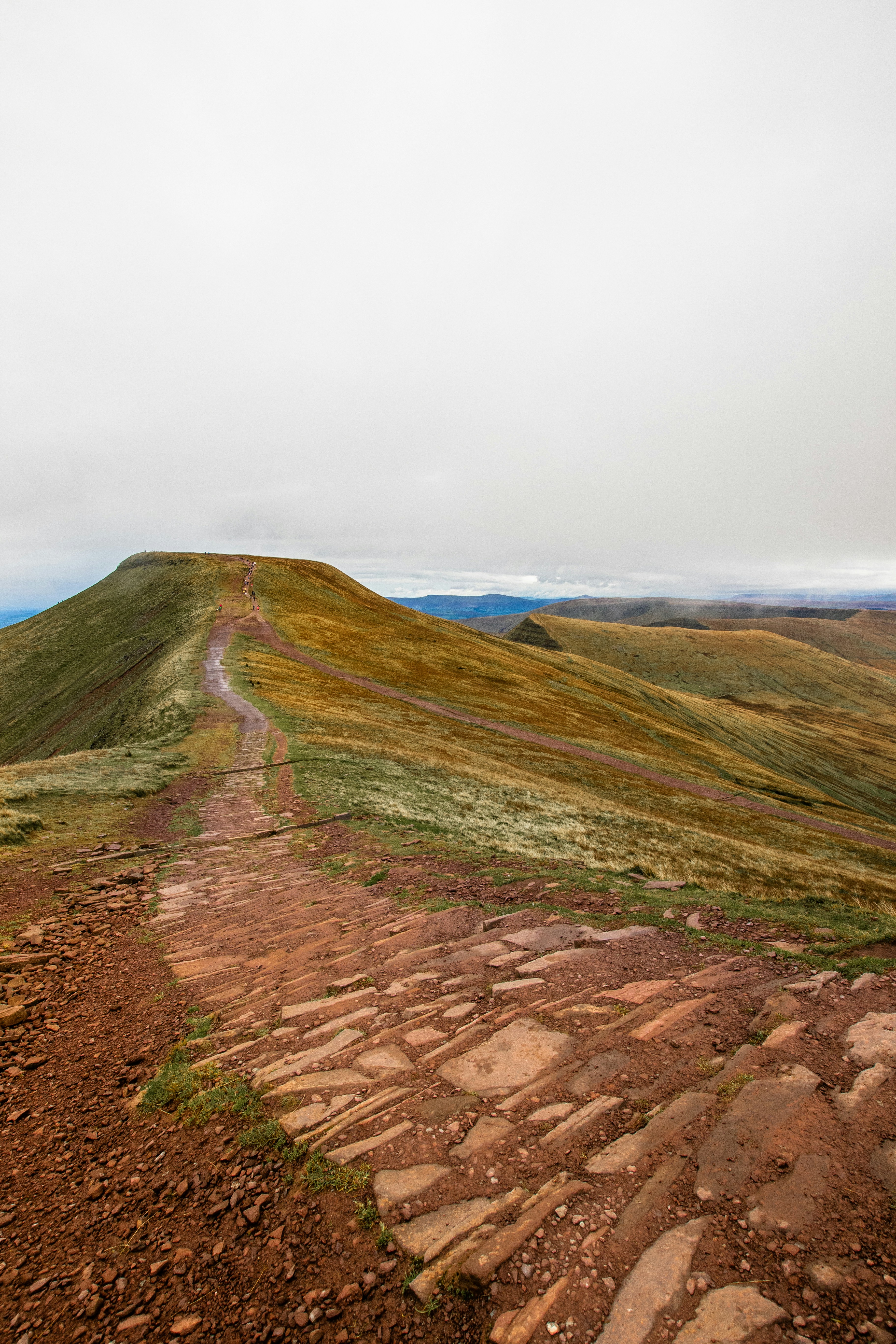 Photo by will_bolding_photography