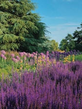 A vibrant garden with blooming flowers and trimmed bushes under a clear blue sky.