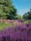 A beautifully landscaped garden featuring vibrant flowers and lush greenery under a clear blue sky.