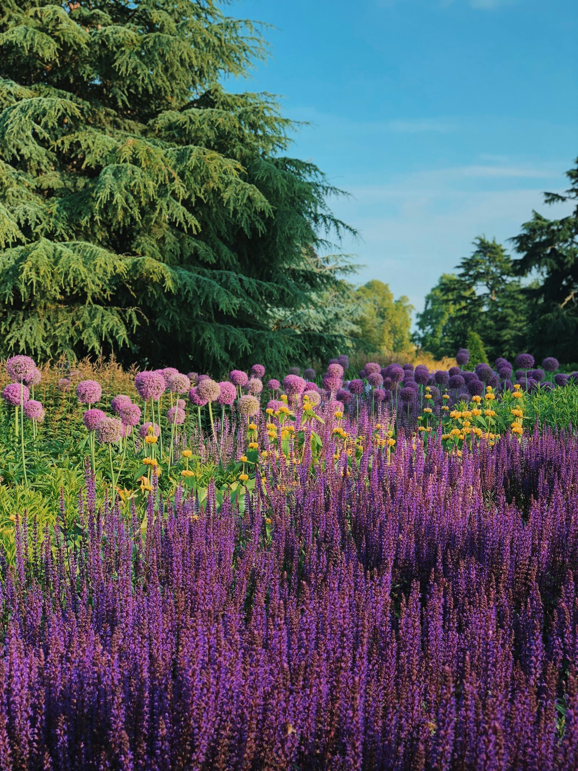black and brown leather padded tub sofa