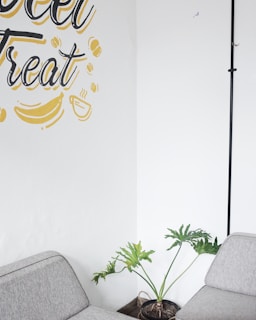 A peaceful corner with plants and soft textiles reflecting the brand colors