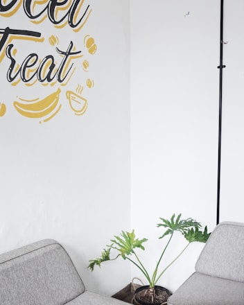 A cozy corner with light grey upholstered couches positioned around a potted green plant. The plant has long, green leaves and sits on a wooden floor. On the white wall is decorative text and illustrations in black and yellow, including a banana and a steaming cup.