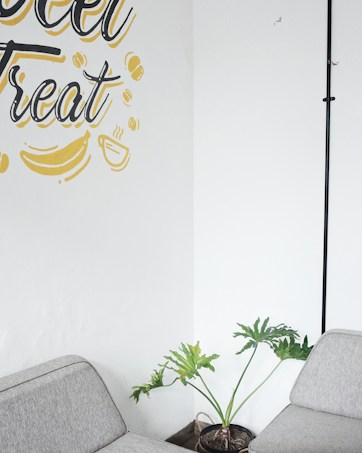 A cozy corner with light grey upholstered couches positioned around a potted green plant. The plant has long, green leaves and sits on a wooden floor. On the white wall is decorative text and illustrations in black and yellow, including a banana and a steaming cup.