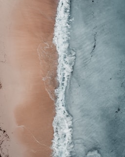 blue and brown seashore painting