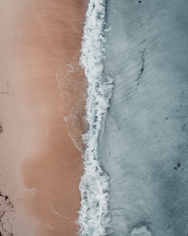 blue and brown seashore painting