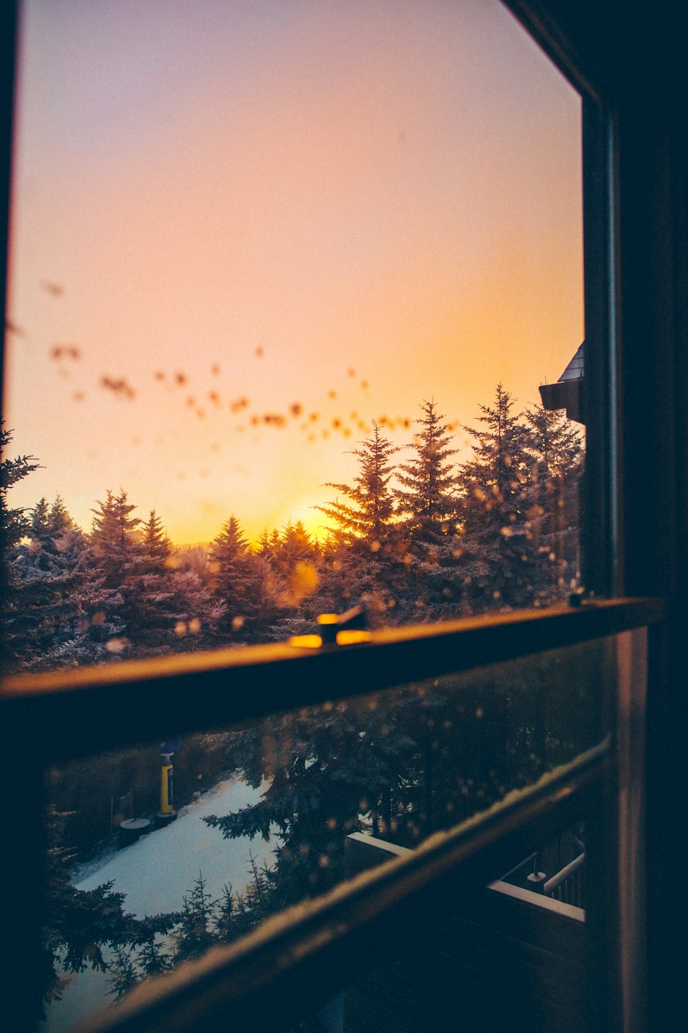 100+ Cozy Pictures | Download Free Images on Unsplash