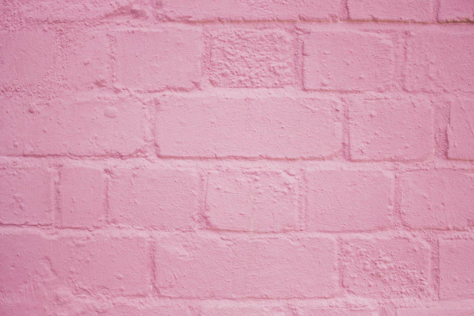 Canon EOS 700D (EOS Rebel T5i / EOS Kiss X7i) + Canon EF-S 24mm F2.8 STM sample photo. Pink painted brick wall photography