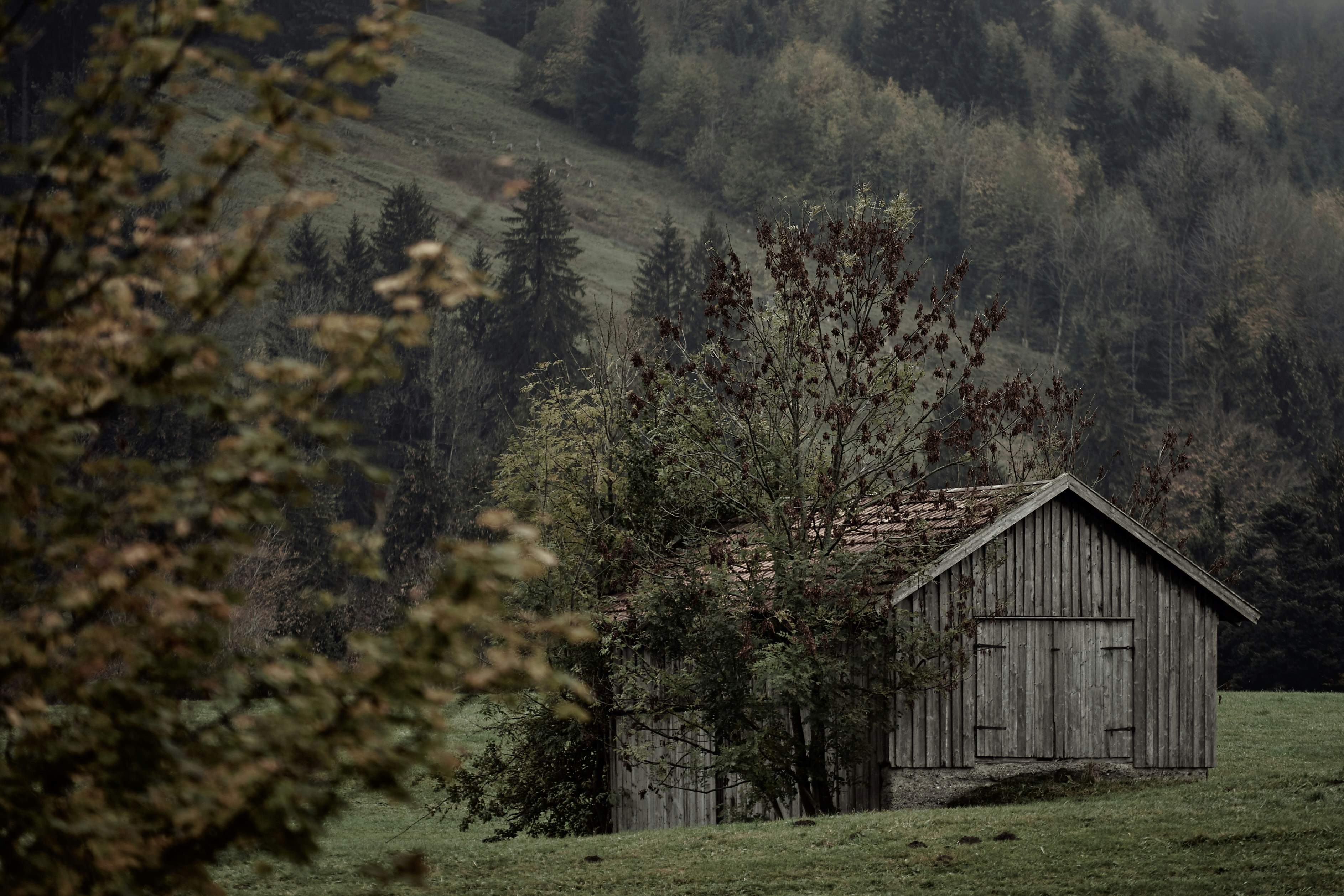 Photo by bruno_kelzer