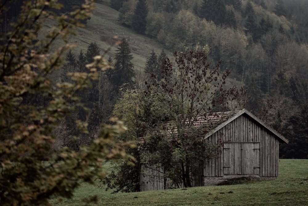 gray wooden barn