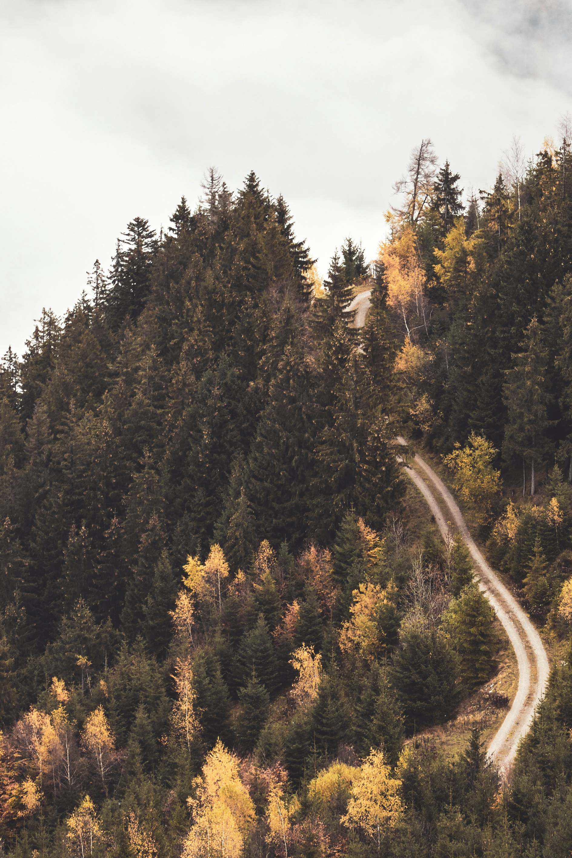 Photo by bruno_kelzer