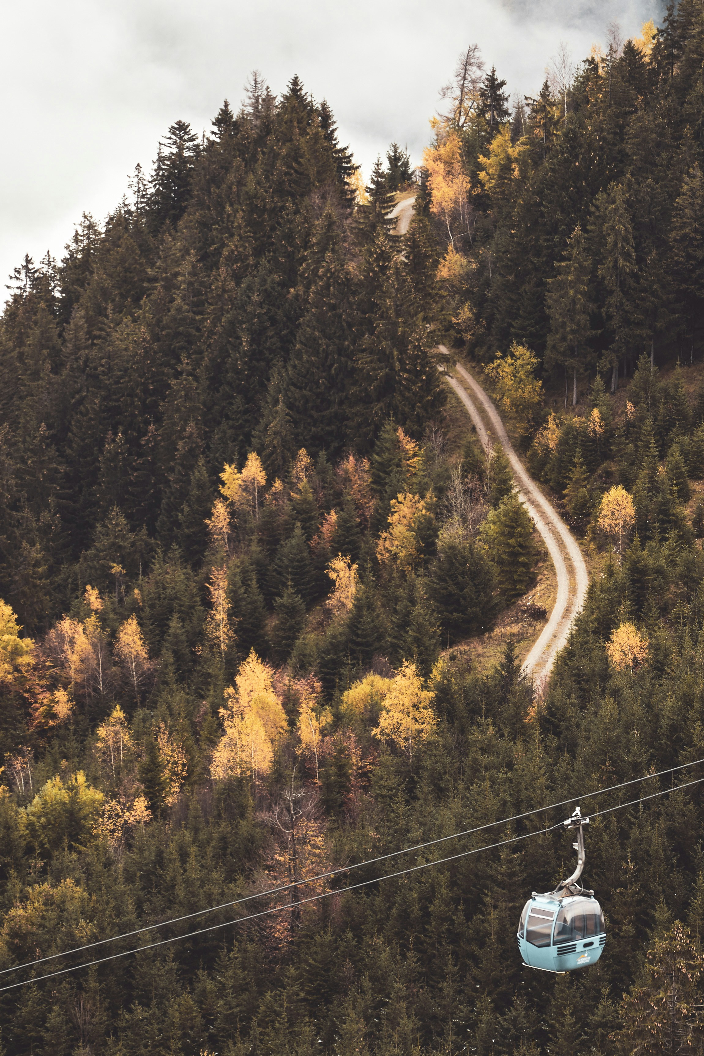 Photo by bruno_kelzer