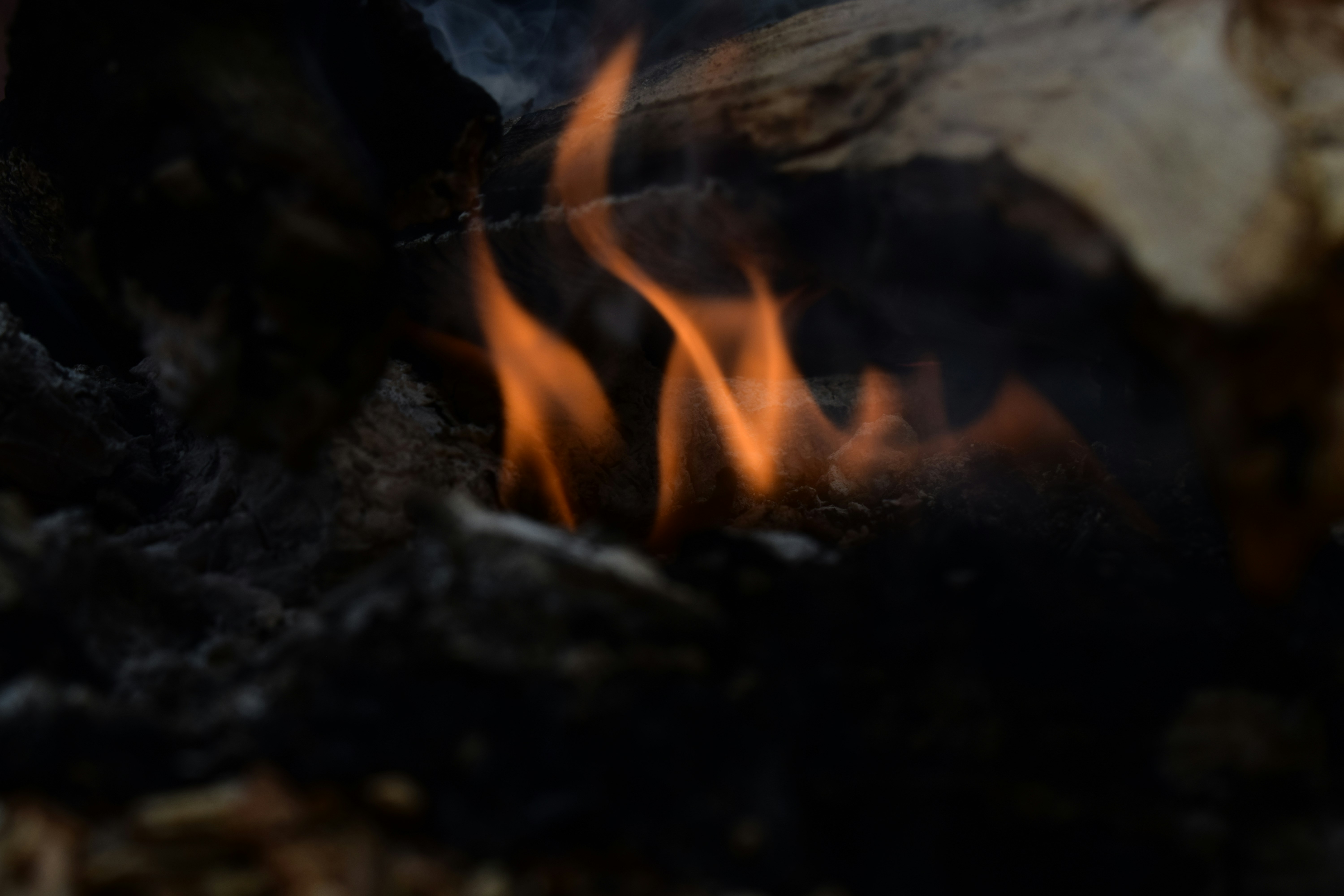 Photo by sunil7972265992