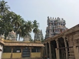 A traditional Hindu temple with intricate carvings and vibrant colors is surrounded by tall palm trees. The temple towers feature detailed sculptures and colorful decorations under a clear sky.