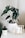 A lush green plant in a white pot sits on a light-colored surface. Next to it, there is a candle labeled 'Happiness.' A small, minimalist art piece is held in a golden frame.