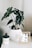 A lush green plant in a white pot sits on a light-colored surface. Next to it, there is a candle labeled 'Happiness.' A small, minimalist art piece is held in a golden frame.
