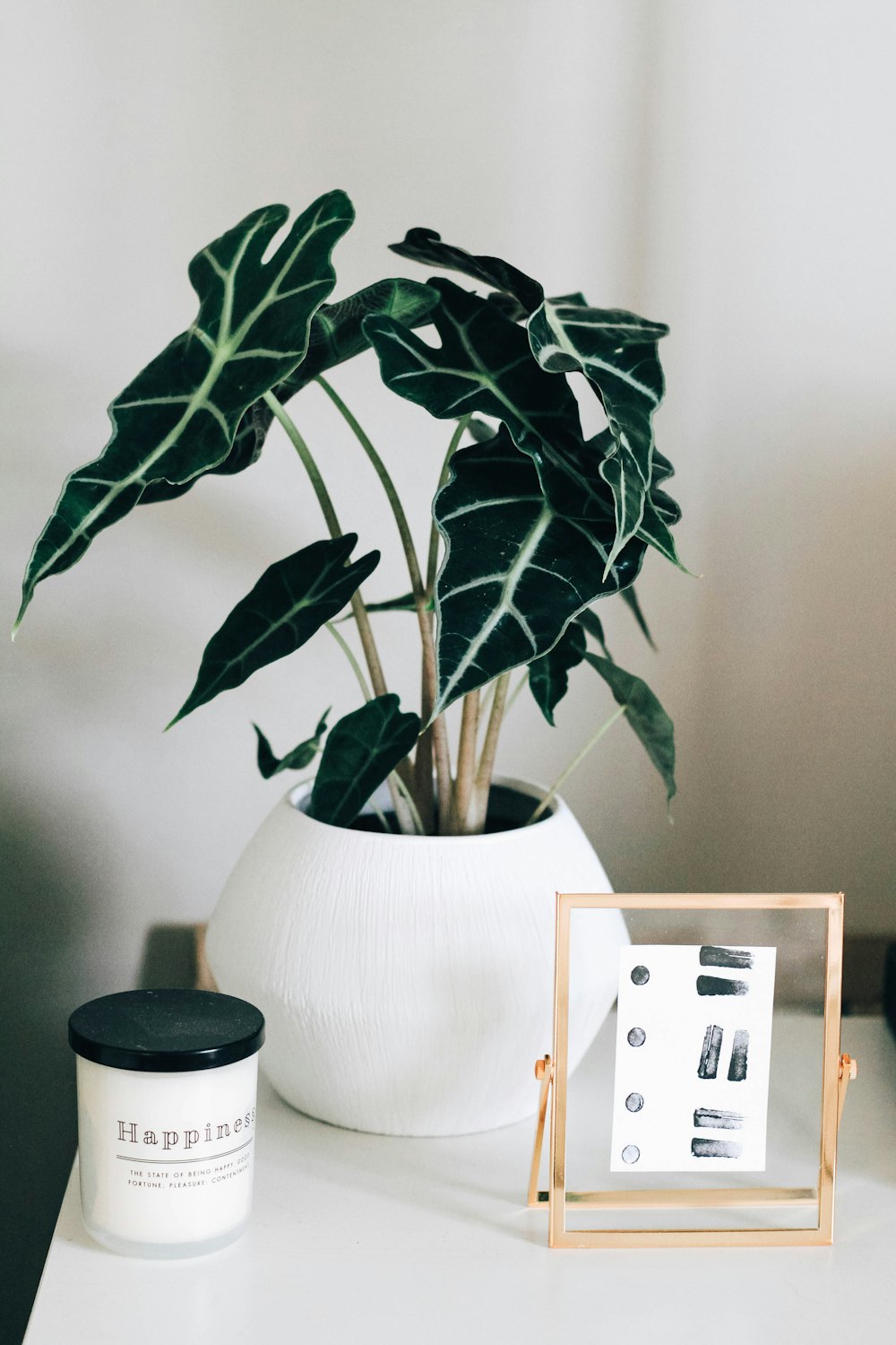 green leaf potted plant on white wooden table beside photo frame