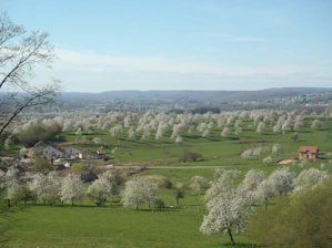 A serene countryside lot with lush greenery and clear skies in Acacías, Meta.