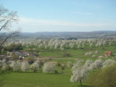 A serene countryside lot with lush greenery and clear skies in Acacías, Meta.