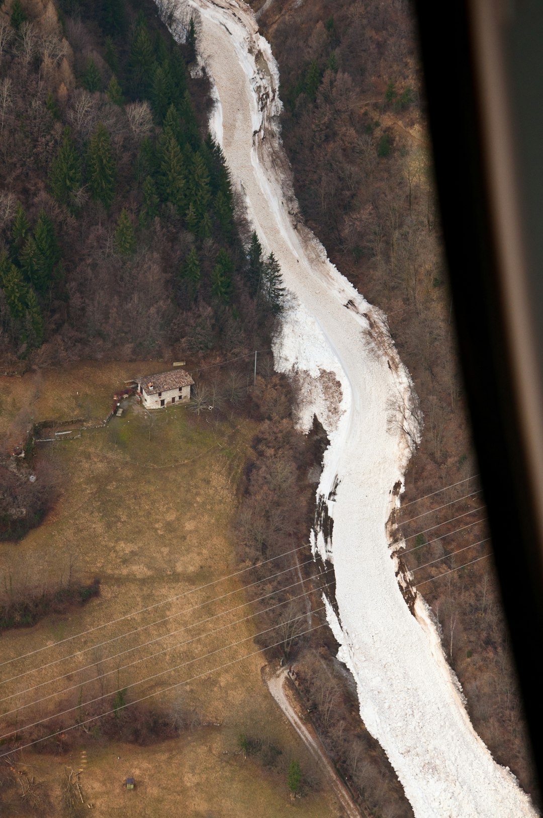 aerial view of lake between forest