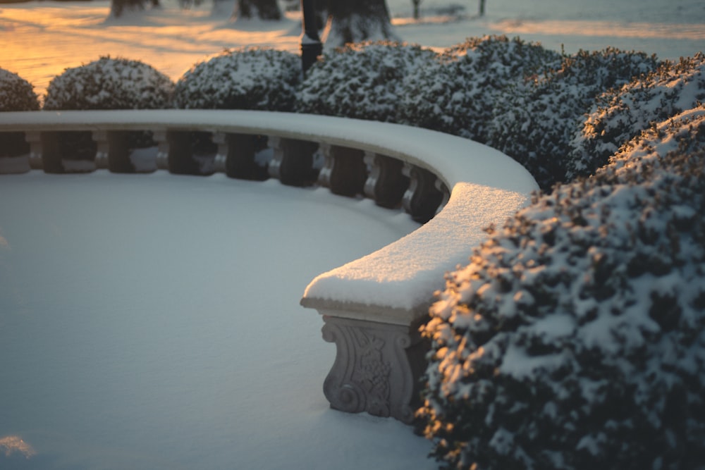 snow-covered curved bench, ground, and hedge