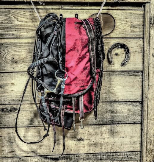 A saddle with black and red coloring hangs on a wooden wall alongside a horseshoe. The wood has a rustic, weathered appearance with visible knots and grain patterns.