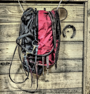 A saddle with black and red coloring hangs on a wooden wall alongside a horseshoe. The wood has a rustic, weathered appearance with visible knots and grain patterns.