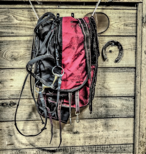 A saddle with black and red coloring hangs on a wooden wall alongside a horseshoe. The wood has a rustic, weathered appearance with visible knots and grain patterns.