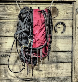 A saddle with black and red coloring hangs on a wooden wall alongside a horseshoe. The wood has a rustic, weathered appearance with visible knots and grain patterns.