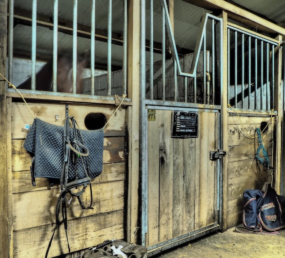 The image depicts the interior of a stable with wooden stalls. One stall has a horse inside, visible through the metal bars. Various equestrian equipment, including a saddle pad, bridle, and halter, are hanging on the wooden doors. The floor appears to be covered in sawdust or dirt, and a bag or backpack is placed on the ground on the right side.