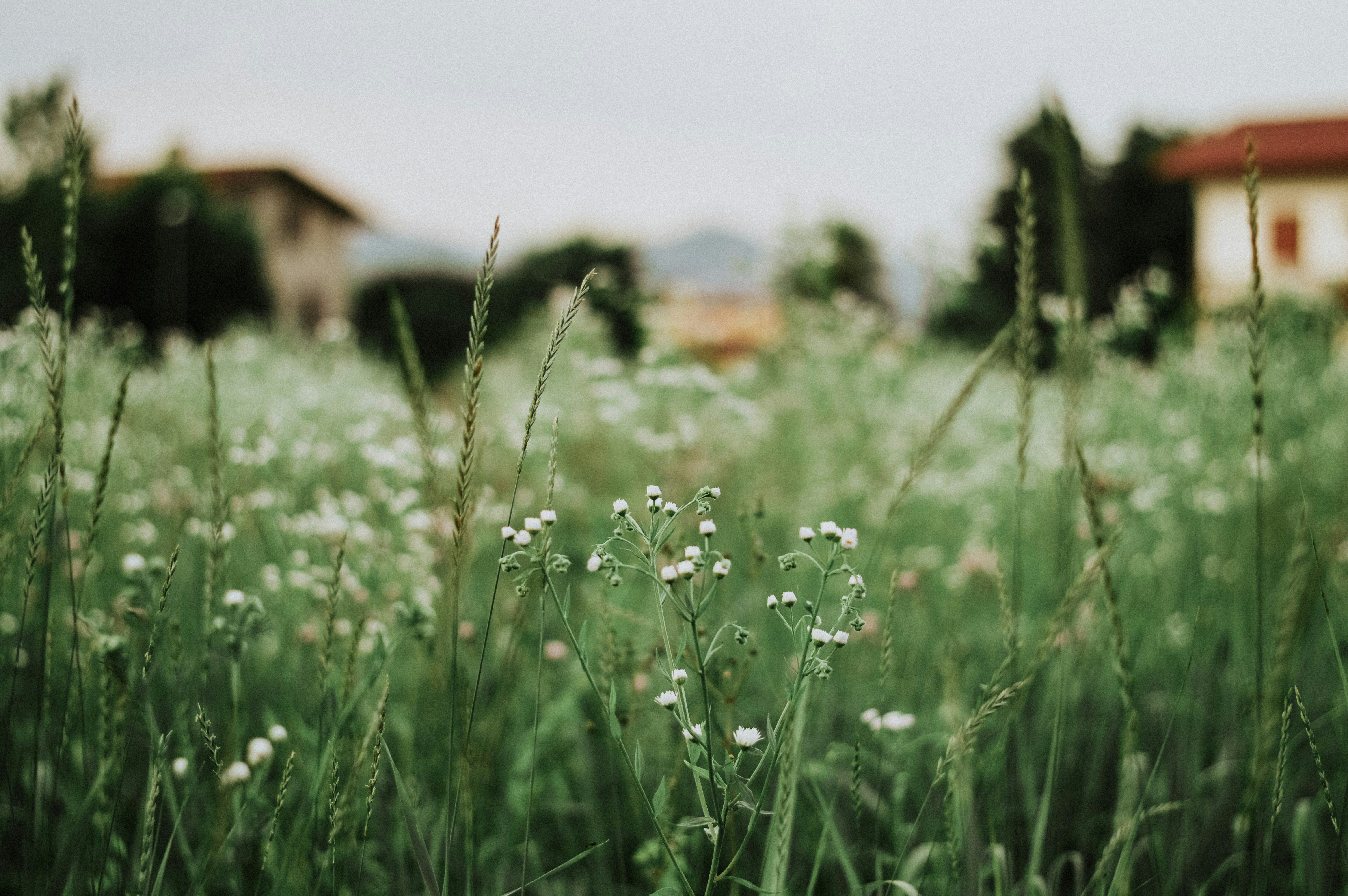 Photo by okeykat