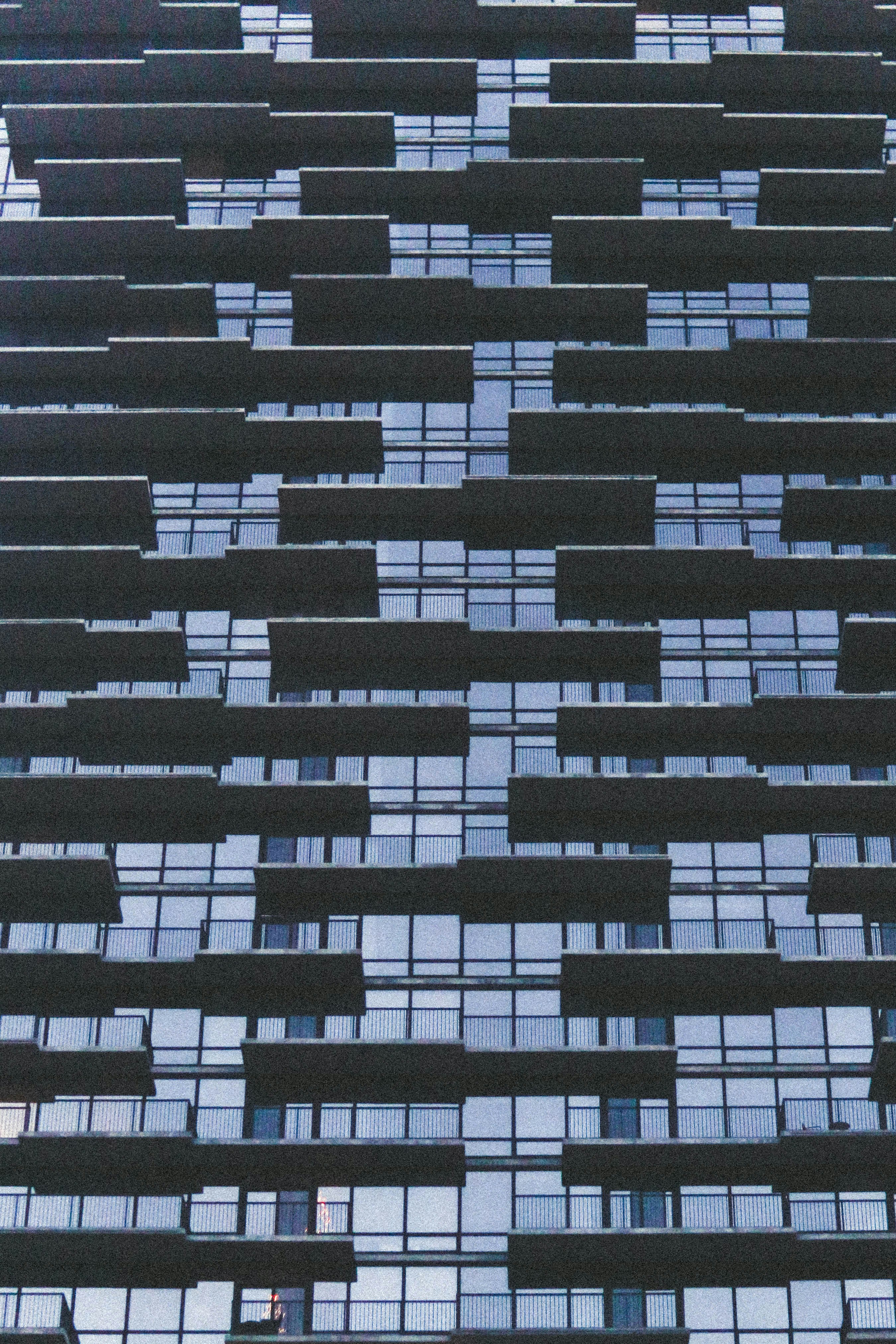 Photo by pkripperprivate