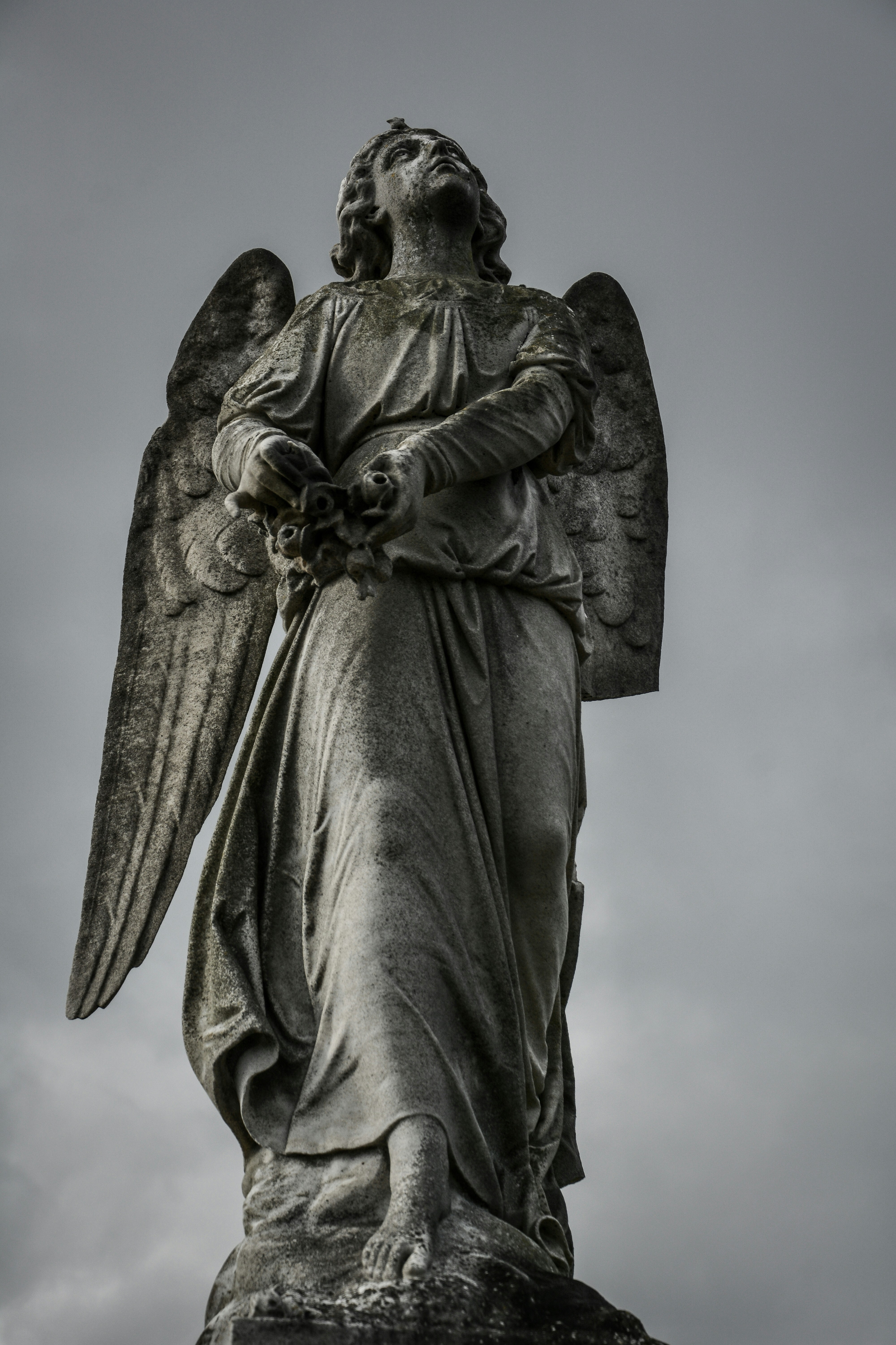 photo-1545249179-175950840ccb