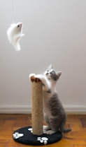 A playful kitten with gray and white fur is standing on its hind legs next to a scratching post. It is reaching up towards a dangling white toy mouse. The scratching post is covered in natural rope and is mounted on a black circular base with white paw prints.