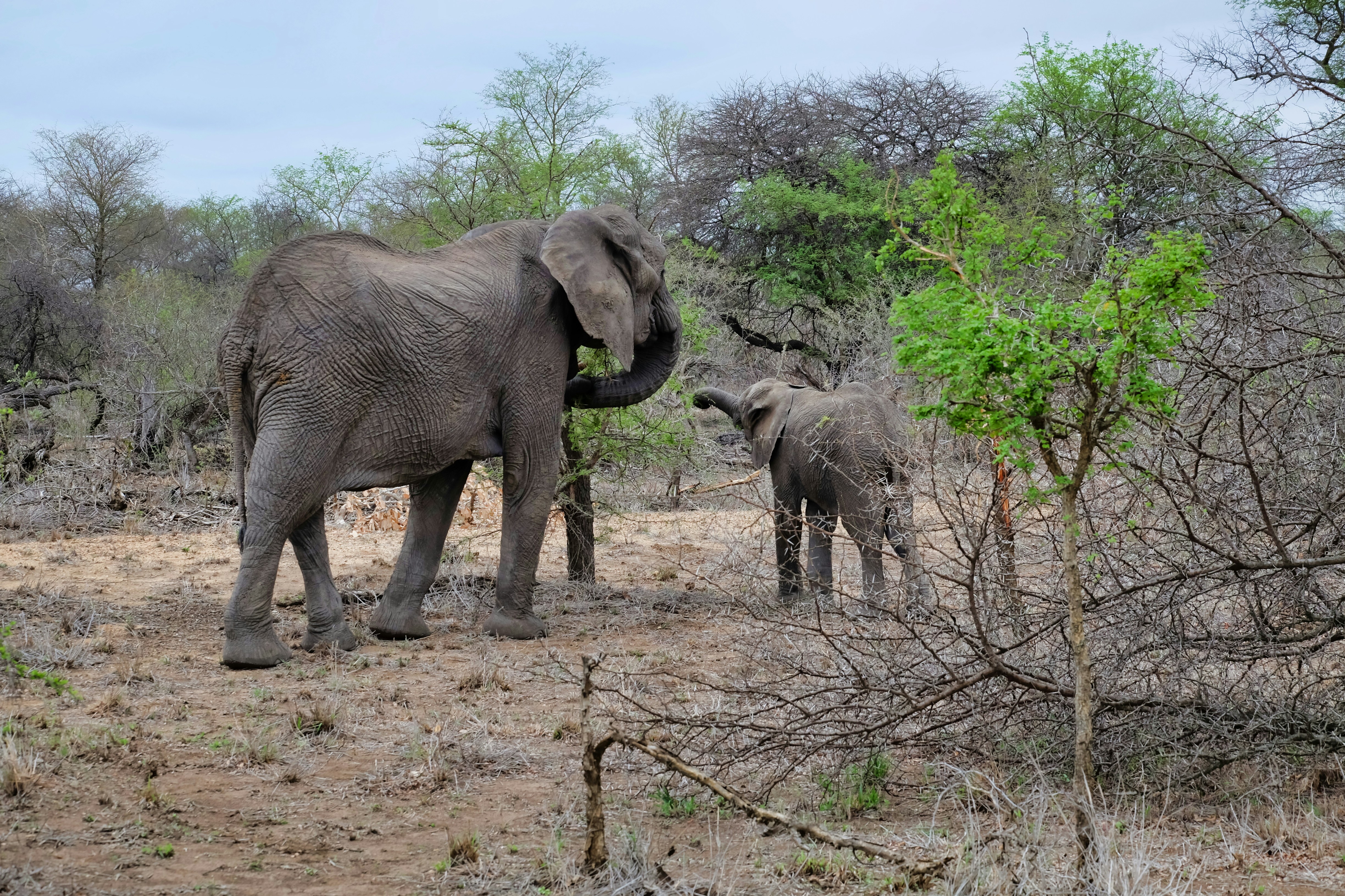 Photo by digitalarbyter