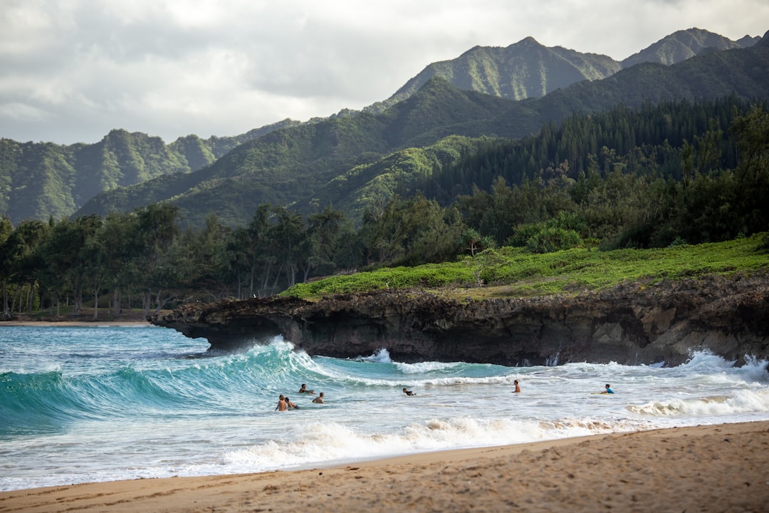 people swimming near shore with waves during daytime, Road tripping around Oahu, the smaller northern beaches are great to catch some sun and watch local surfers