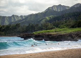 people swimming near shore with waves during daytime