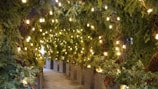 A beautifully decorated tunnel adorned with dense greenery and garlands, illuminated by numerous small, warm golden fairy lights hanging overhead. The pathway is lined with wooden planter boxes filled with foliage and pinecones, creating a cozy and festive atmosphere.