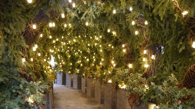 A beautifully decorated tunnel adorned with dense greenery and garlands, illuminated by numerous small, warm golden fairy lights hanging overhead. The pathway is lined with wooden planter boxes filled with foliage and pinecones, creating a cozy and festive atmosphere.
