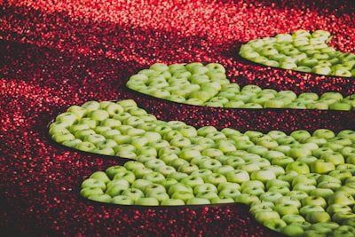 green apple lot during daytime cranberries google meet background