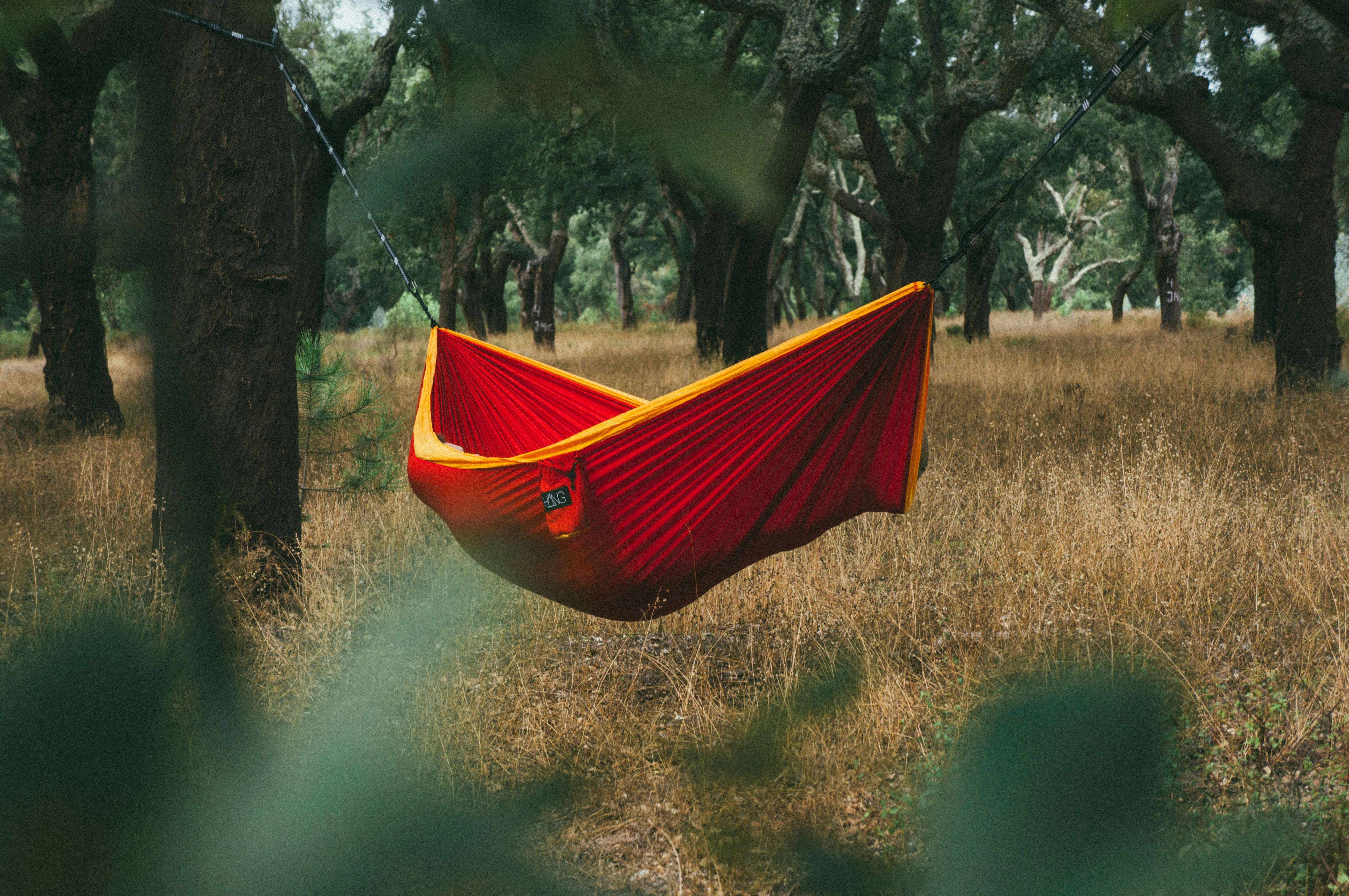 Hammock between trees