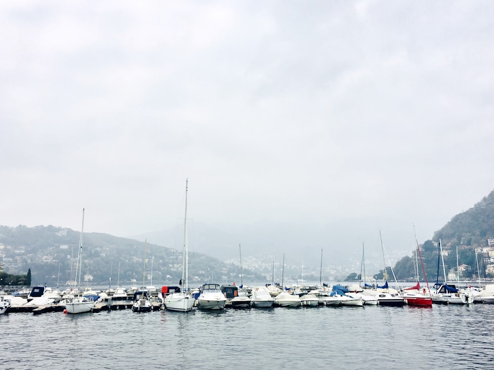 boats on calm body of water