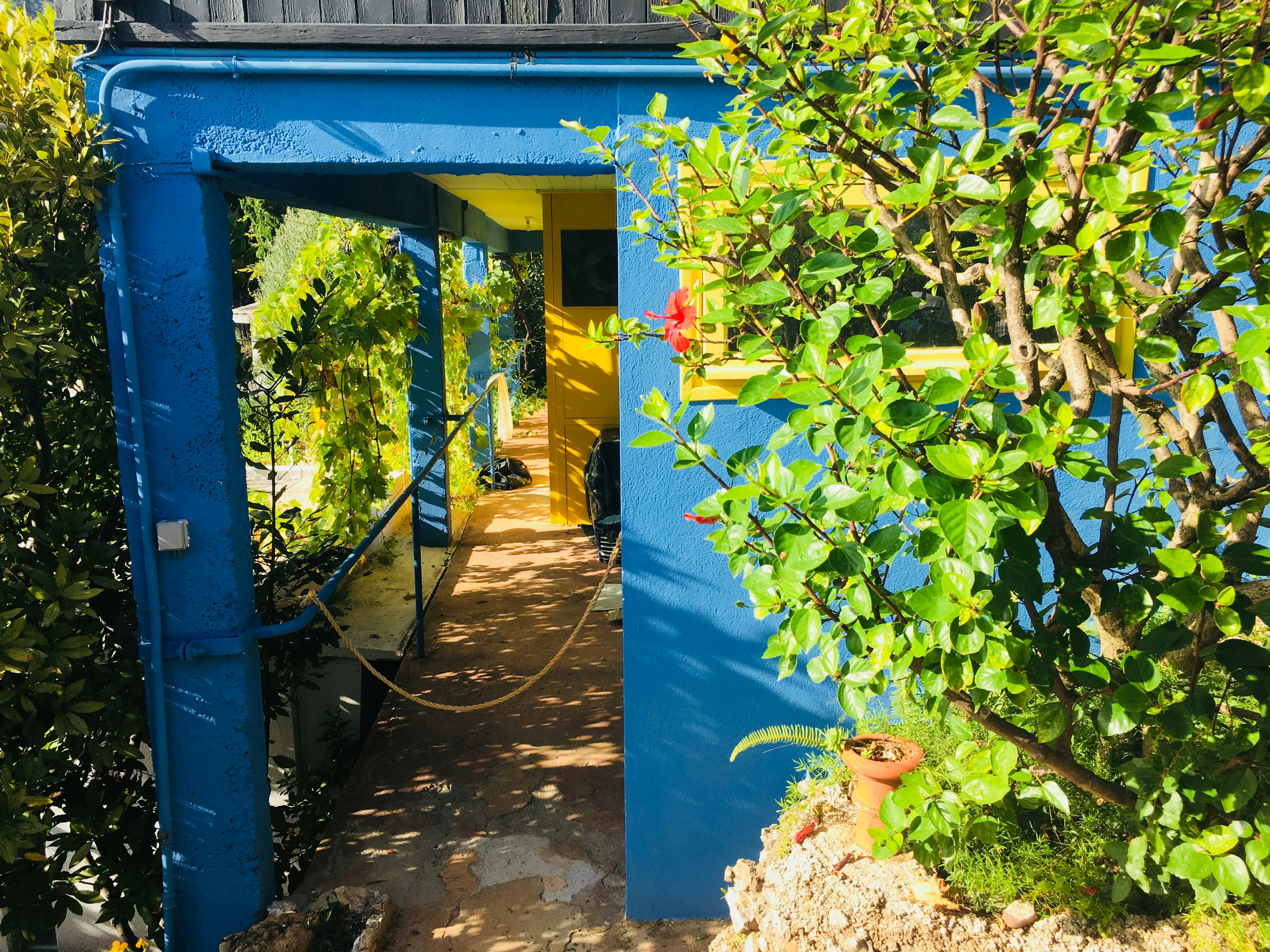 Modern Front Yard Plan