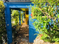 A beautifully painted outdoor space showcasing color palettes.